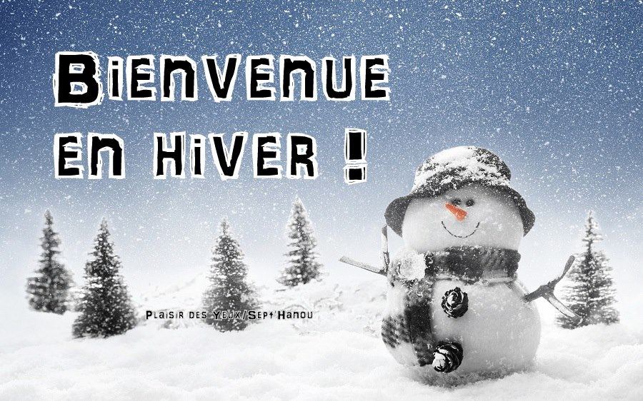 5 Astuces pour préserver votre piscine cet hiver