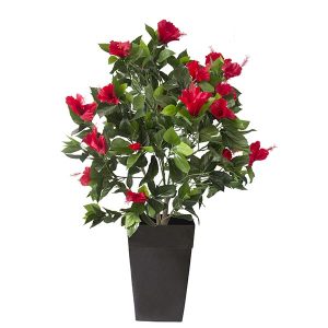 Plant-hibiscus-rouge-decoration-exterieur-fausse_plante
