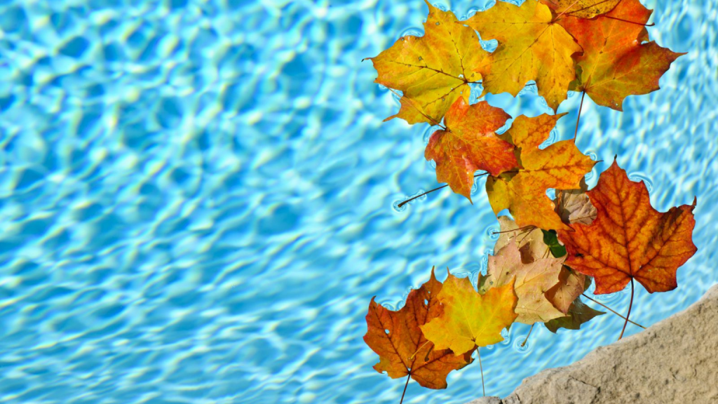 Comment faire la fermeture de votre piscine horsterre Concept Piscine Design Comment faire la fermeture de votre piscine horsterre Concept Piscine Design