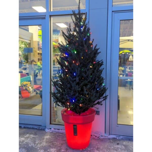 Pot pour sapin Stella Lux