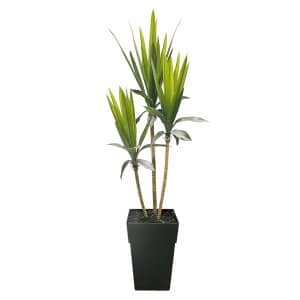 Plante artificielle yucca