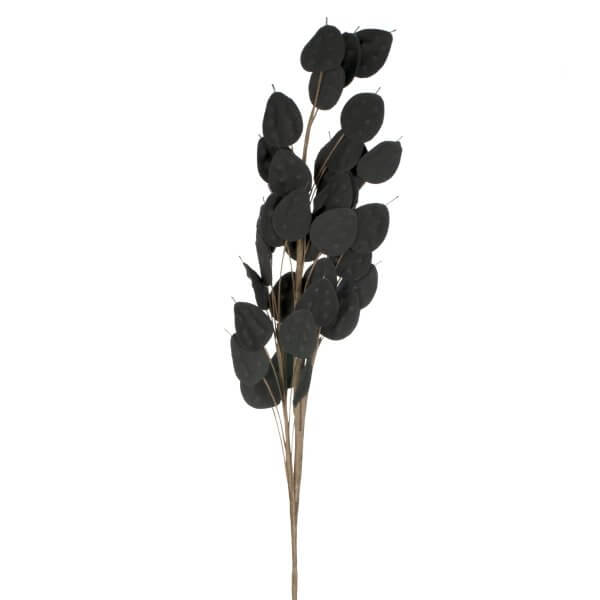 Tige de feuilles noires texturées