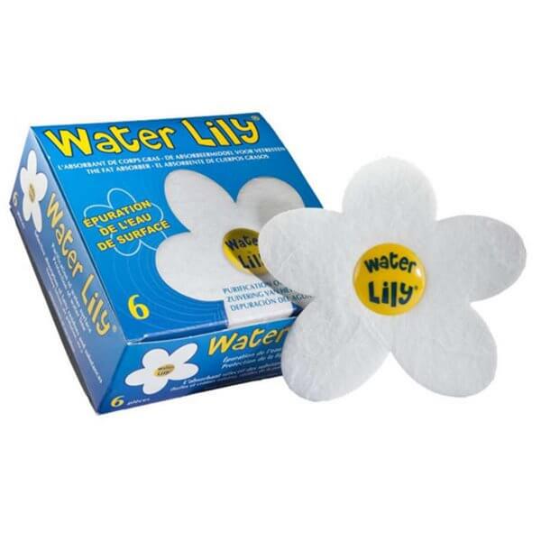 Absorbant Water Lily