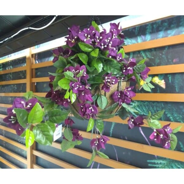 Jardinière bougainvilliers mauves