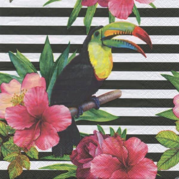 napkins colorées été oiseau