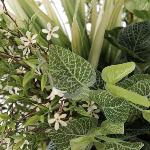 Arrangement de fleurs blanches