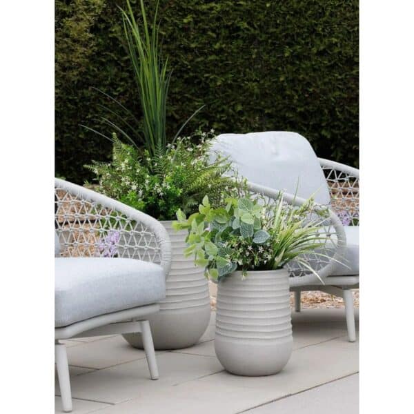 Arrangement de fleurs blanches