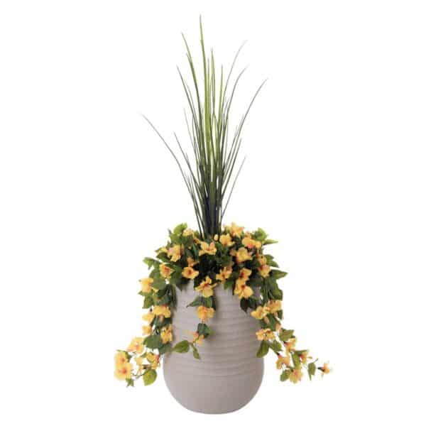 Fleurs jaunes extérieur gros pot