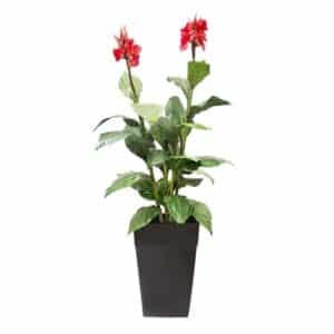 plante artificielle pour l'extérieur