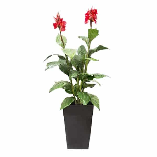 plante artificielle pour l'extérieur