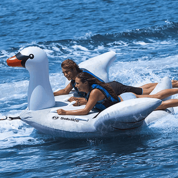 Cygne 2 places tractable