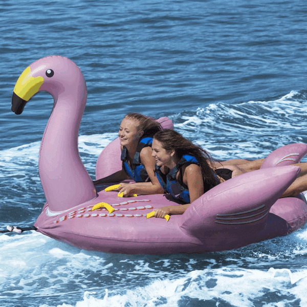 Flamant rose 2 places tractable